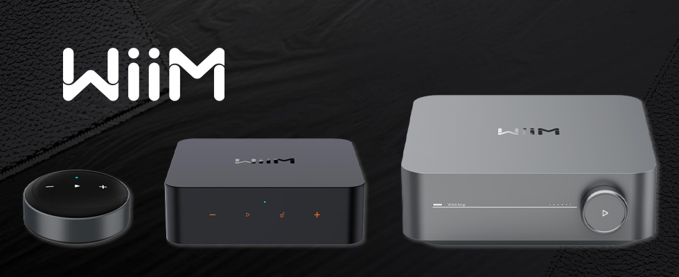wiim audio